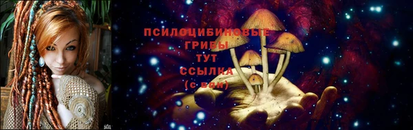 ECSTASY Зеленодольск