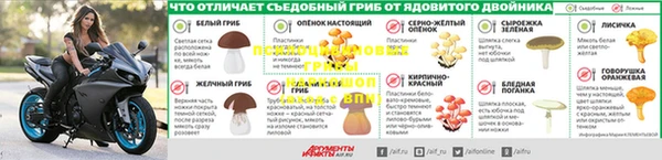 mdma Зерноград