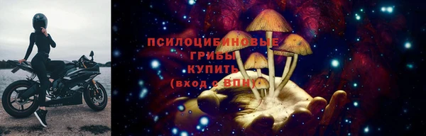 дмт Заволжск