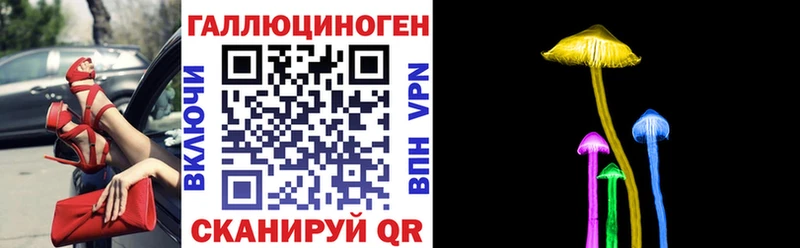 Галлюциногенные грибы прущие грибы  Купить  Покров 